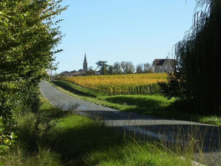 Vineyards around Saint-Emilion near Bordeaux