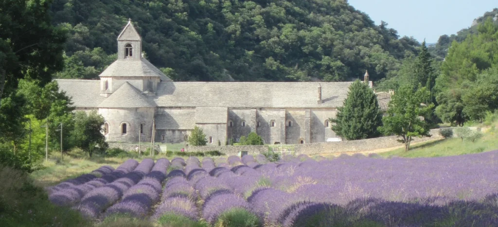 Provence travel guide: lavender in bloom at Sénanque Abbey near Gordes