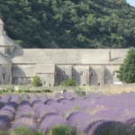 Lavender in front of Senanque Abbey, Provence