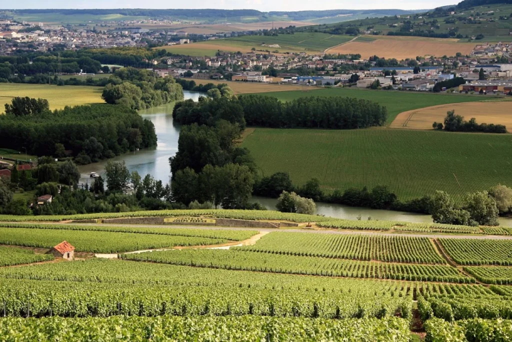 Champagne vineyards above the Marne valley