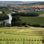 Champagne vineyards above the Marne valley